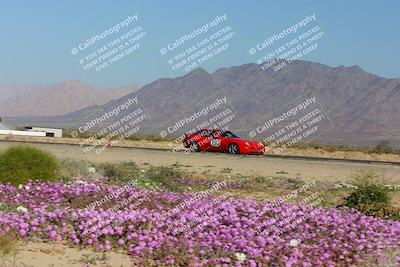 media/Jan-29-2023-PCA San Diego (Sun) [[aa0301ccc2]]/Yellow Group/Session 1 (Turn 15 Bloom)/